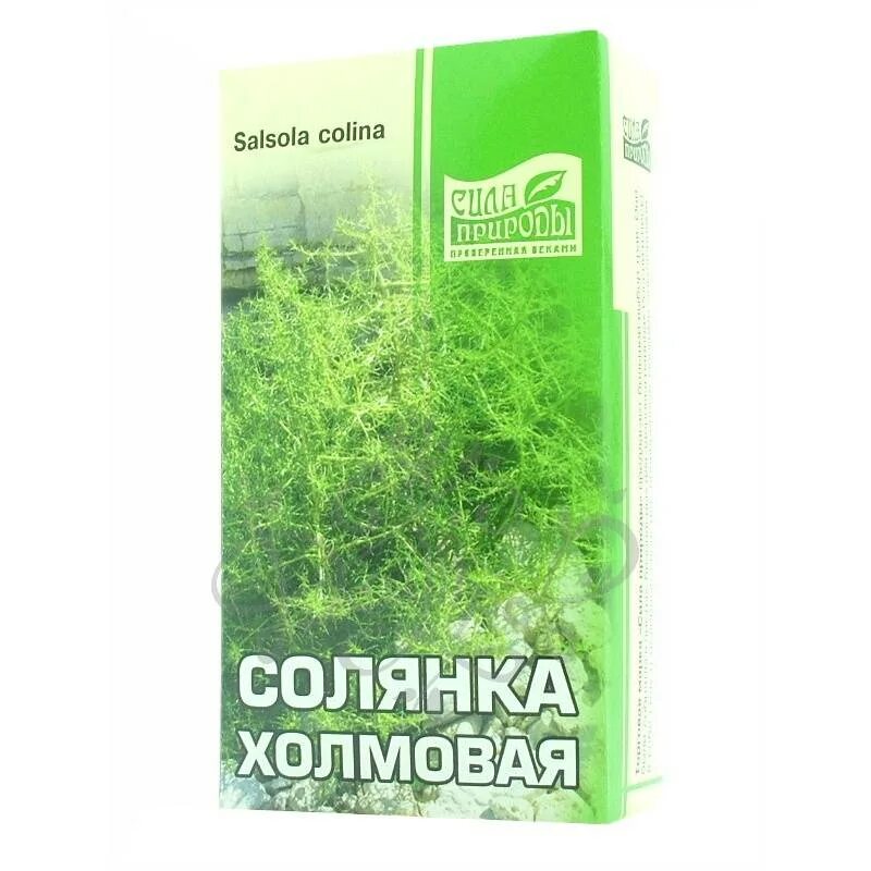 Солянка трава. Солянка холмовая камелия. солянка холмовая чай 50г. солянка холмовая трава 50г. фото солянки холмовой.