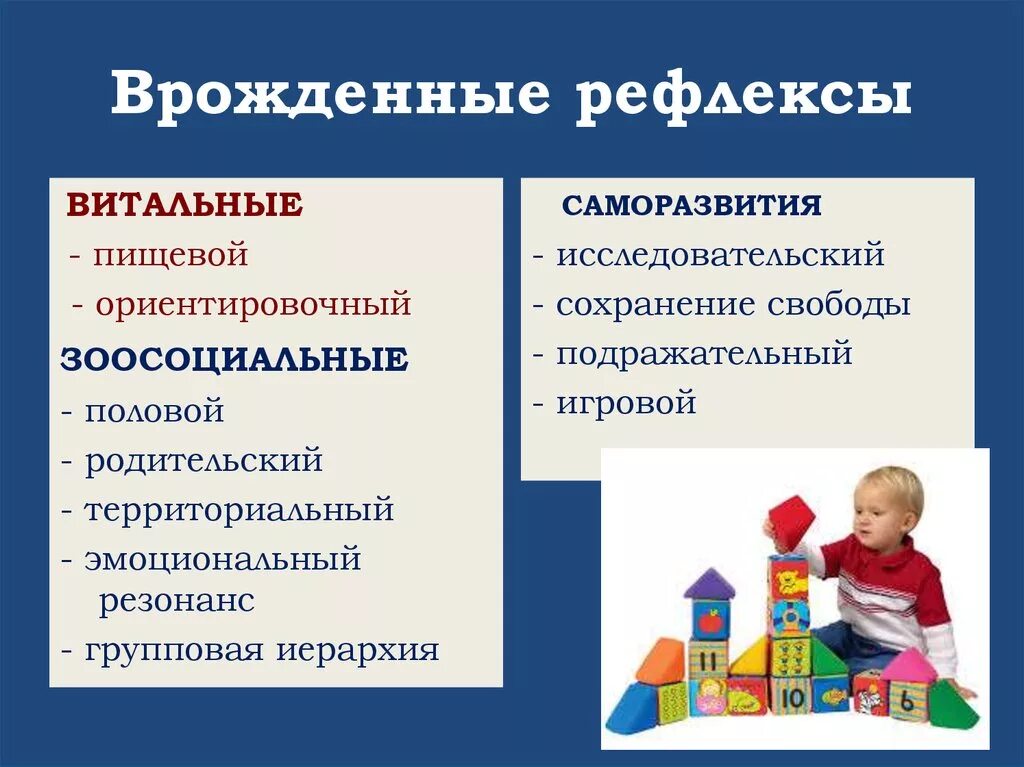 Врожденные рефлексы называют рефлексами. Врожденные рефлексы. Что такое рефлекс и врожденные рефлексы. Врождённые рефлексы челоовека. Врожденные безусловные рефлексы.