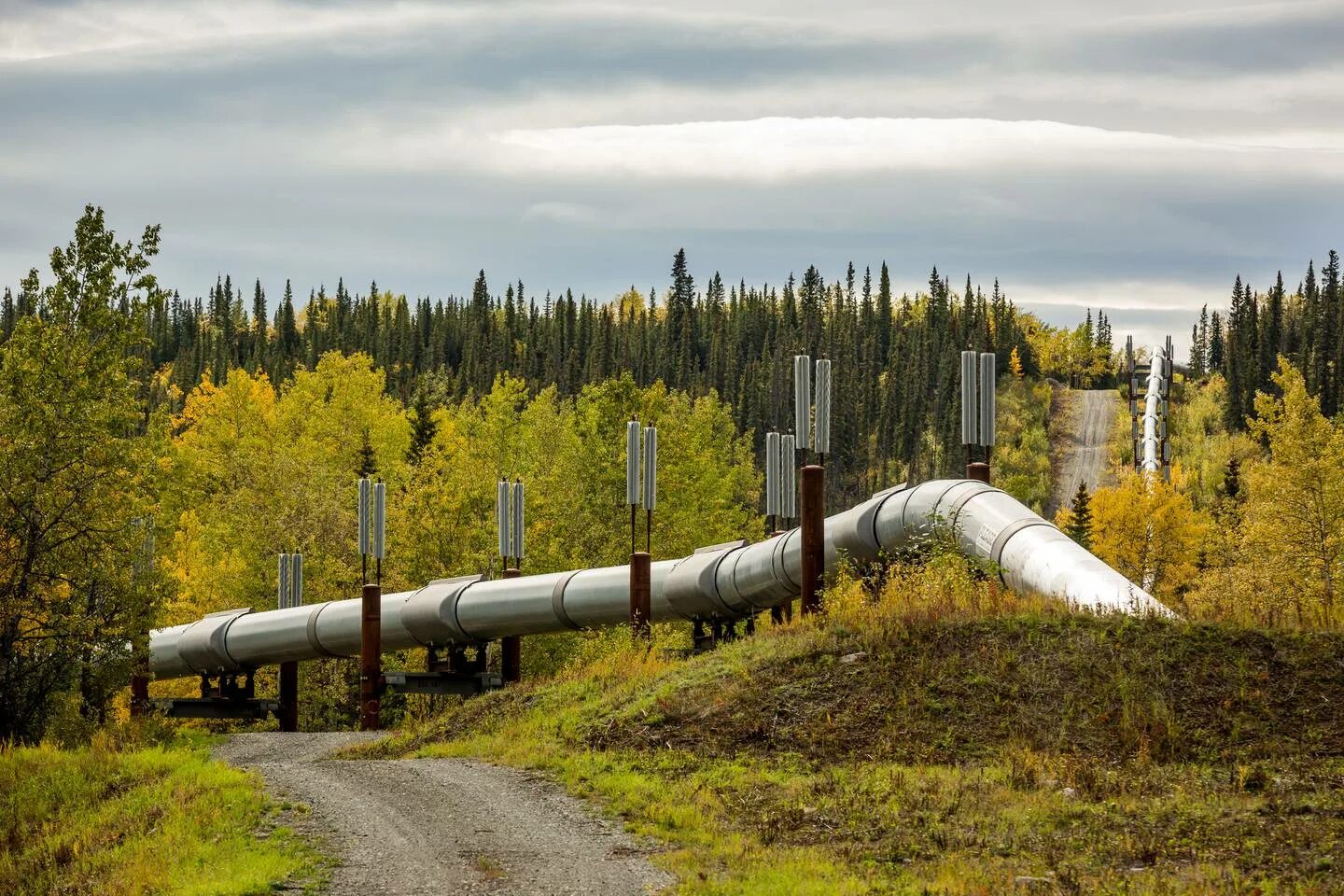 Assets pipeline. Trans-alaska pipeline. трубопроводы на аляске. trans alaska oil pipeline. нефтяные трубы.