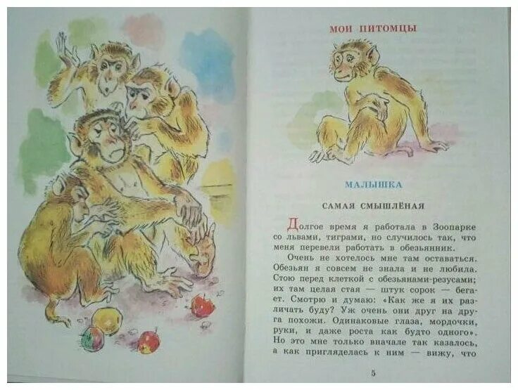 Обезьянка малышка чаплина. Малышка чаплина. Герои рассказов веры чаплиной. Чаплина малышка. Чаплина малышка.