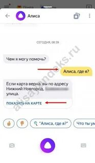 Алиса давай я сейчас скажу