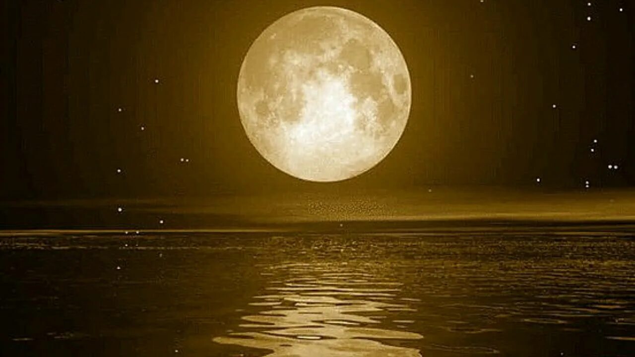 Слушать песню луна светила. Луна светит. Луна светится. Мир пока светит Луна. Так фантастически светит Луна.