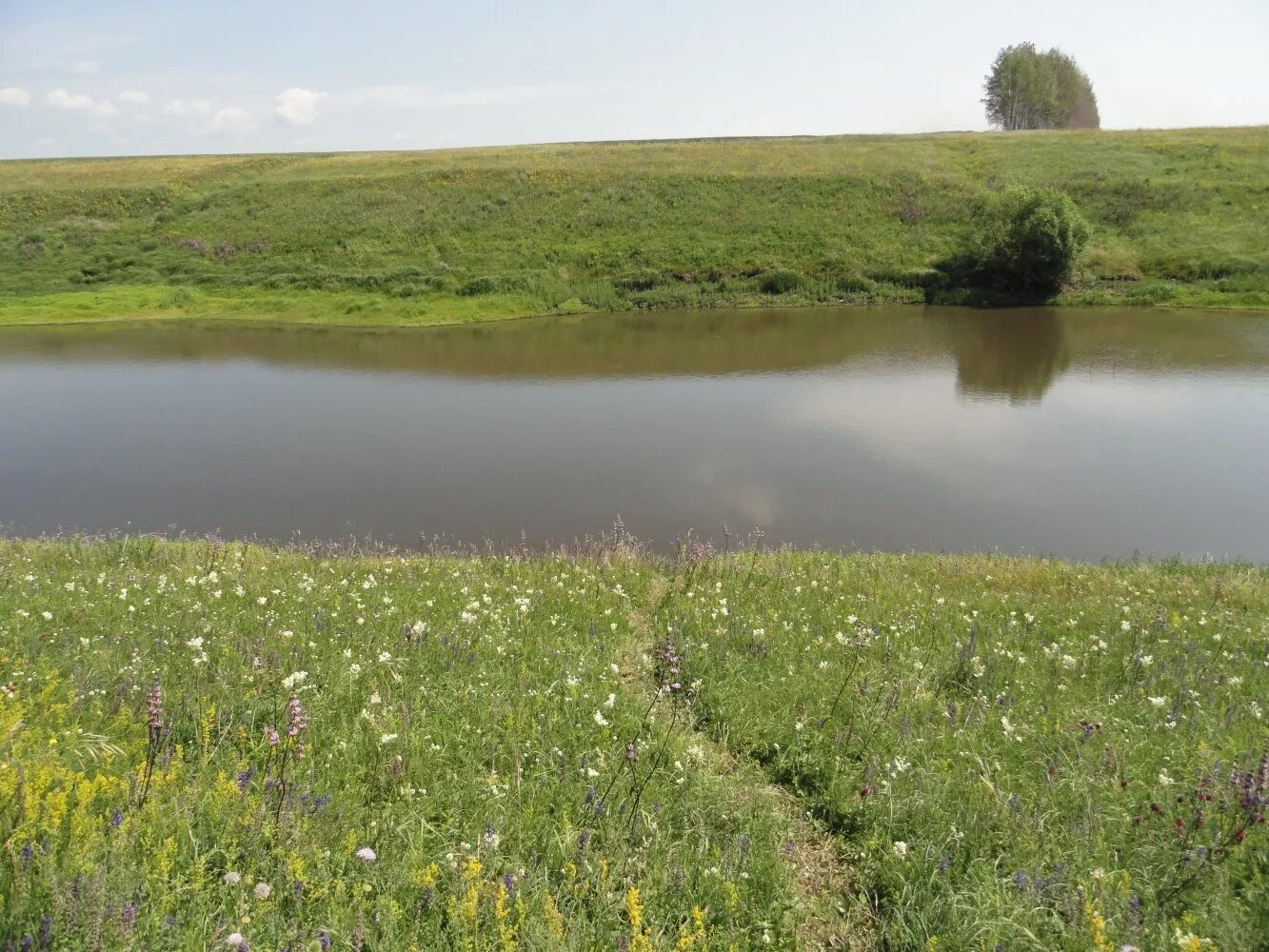 бокинские пруды тамбовская область. пруды тамбов. бокинские пруды тамбовская область. река лесной воронеж тамбовская. текино тамбов пруд.