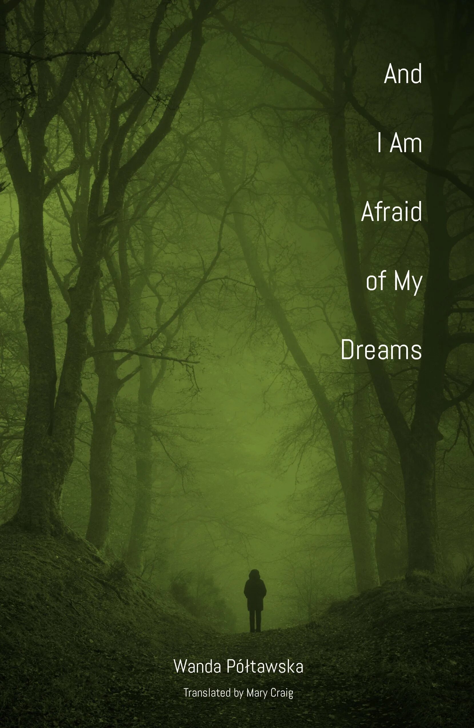 I am afraid. To be afraid of. Afraid of Monsters: Director's обложка. I'M afraid of all i am.