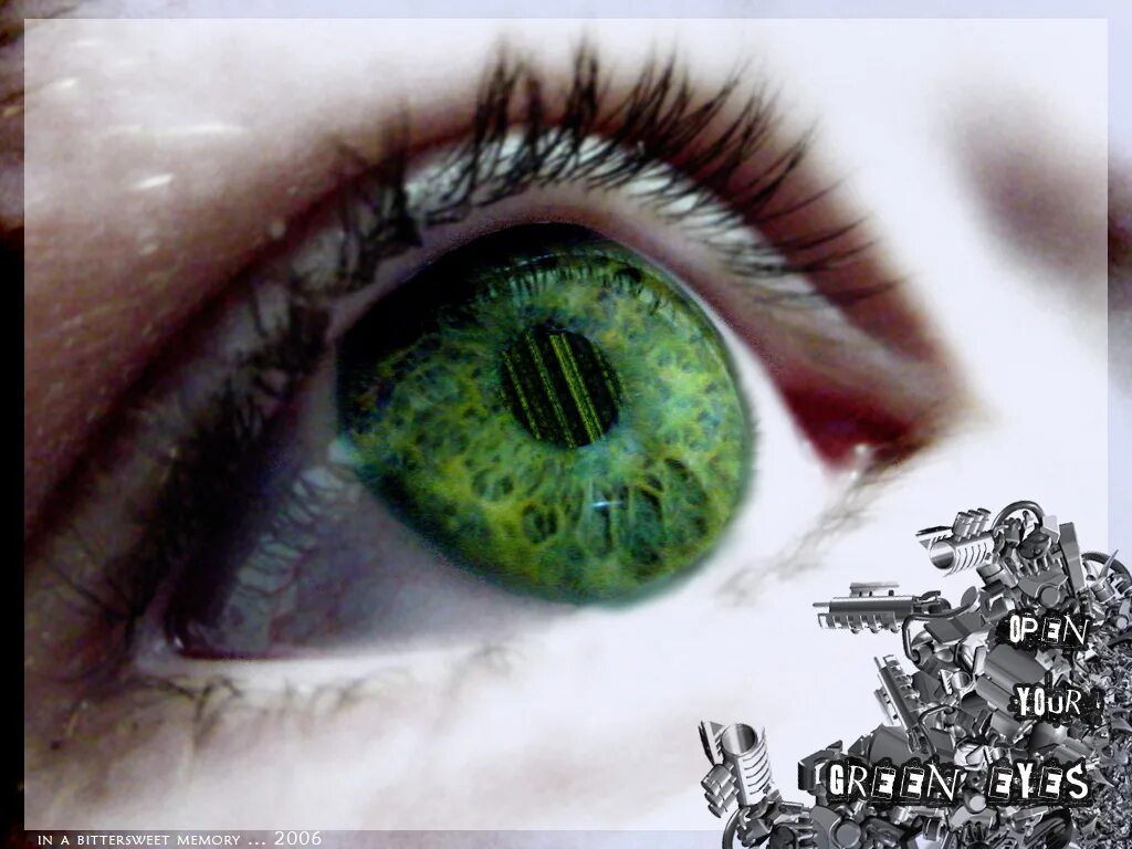 Изумрудные глаза. Зеленые глаза картина. Зеленые глаза на аву. Открытки зеленые глаза.