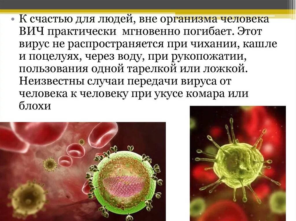 Сколько живет ВИЧ вне организма. Сколько живёт вирус ВИЧ вне организма. Вирусы распространяются при. Вирусы передающиеся через поцелуй.