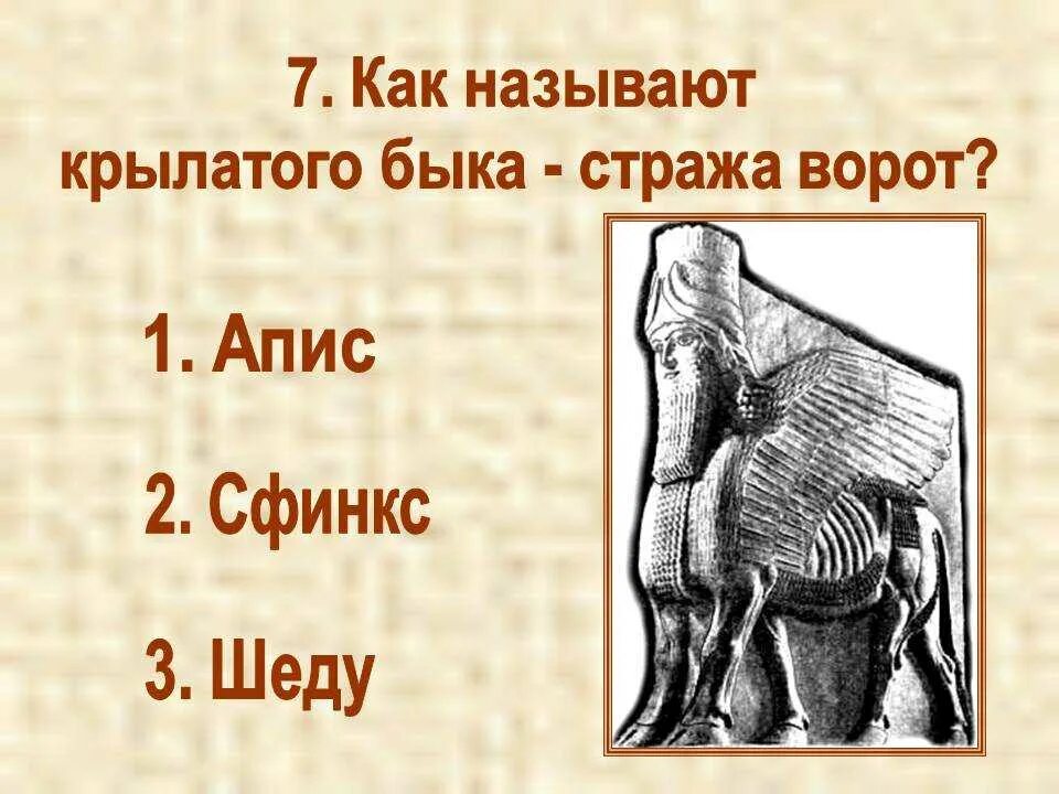 Как зовут крылатого. Как назвать быка клички. Имена для Быков. Как можно назвать быка мальчика.