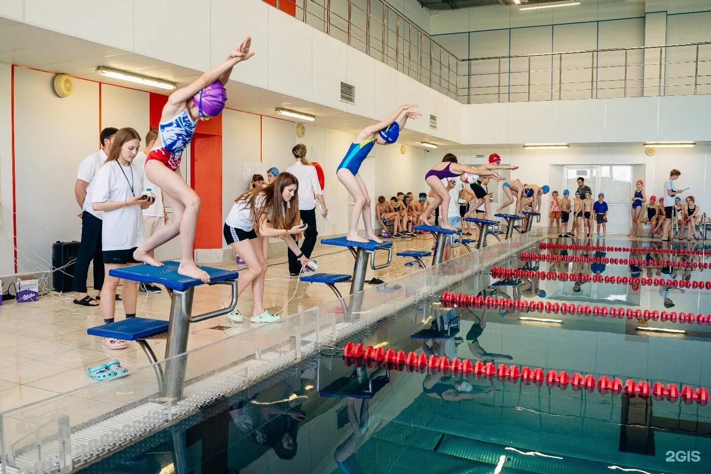 Партизана железняка 1 п бассейн. Бассейн красгму. Акваклуб вологда. Акваклуб курган. Бассейн медуза в красноярске.