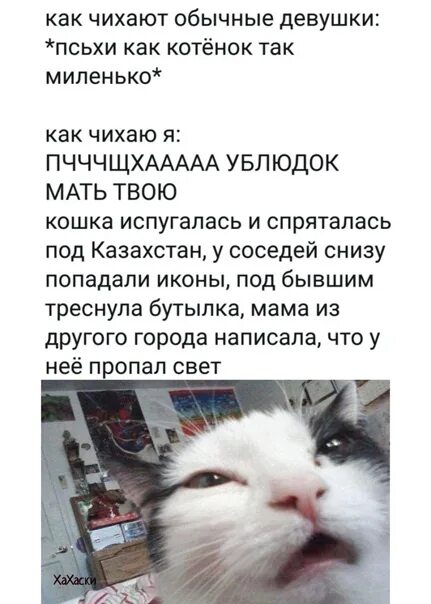 Чихнуть в субботу. Как чихают девочки. как чихнуть. как чихнуть специально. как не чихать.