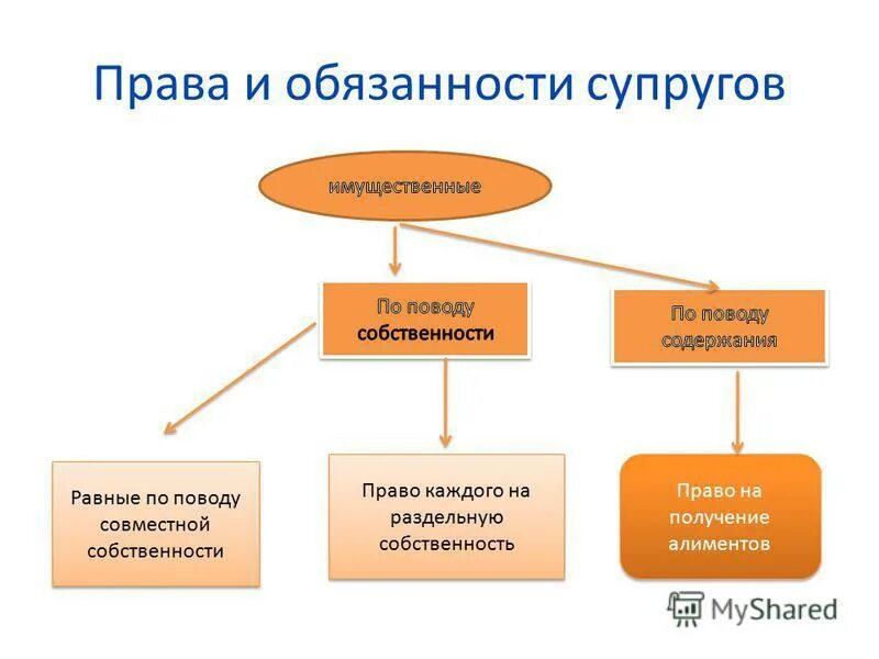 Правовая обязанность супругов. Пава и обязанност супругов.