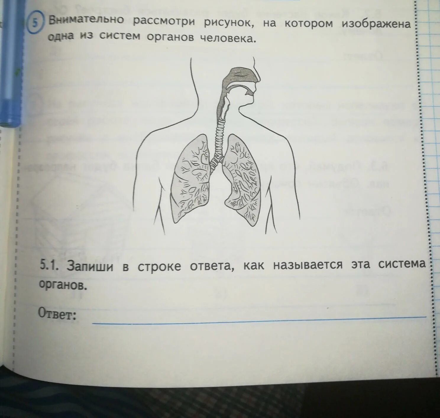 Рассмотри рисунок на котором изображен. Внимательно рассмотри рисунок. Внимательно рассмотри Ри. Внимательно рассмотрите рисунок. Рисунок на котором изображена 1 из систем органов человека.