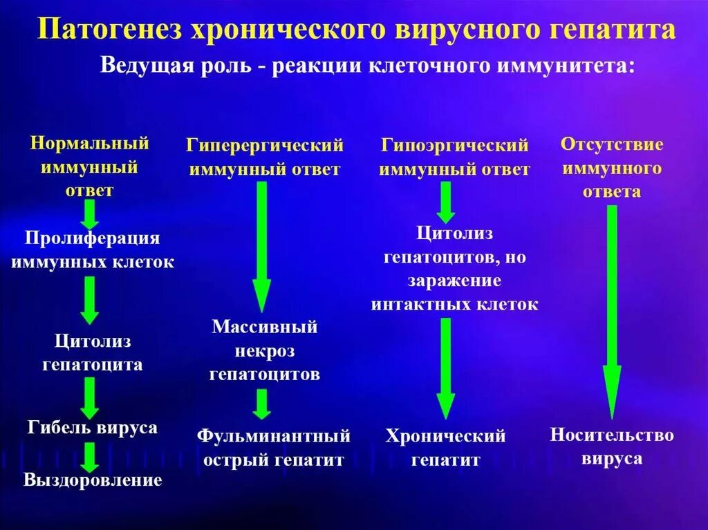 Хронические гепатиты этиология патогенез клиника. Патогенез хронического гепатита. Патогенез хронического вирусного гепатита. Патогенез гепатита в. Тяжелая форма вирусного гепатита