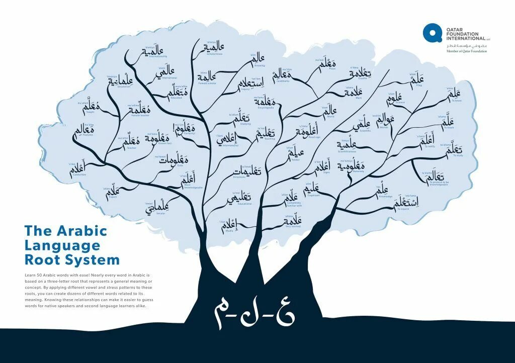 Language system. Дерево на арабском языке. learn arabic language. инфографика на арабском языке. learning arabic.