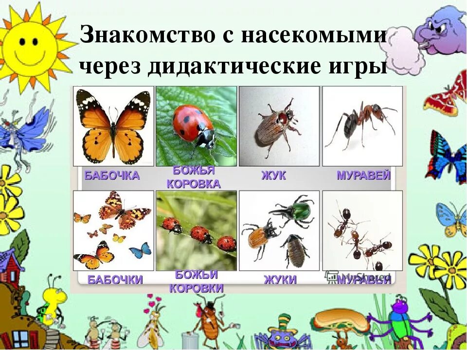 Конспект занятий подготовительной группе тема насекомые. Насекомые подготовительная группа. Насекомые картинки для детей. Познакомить детей с насекомыми. Насекомые для детей дошкольного возраста.