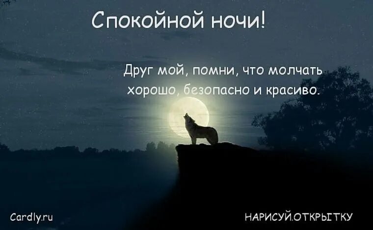 Люди желают друг другу спокойной ночи. Спокойной ночи прикольные. Открытки спокойной ночи прикольные. Спокойной ночи мой принц. Красивые высказывания о ночи.