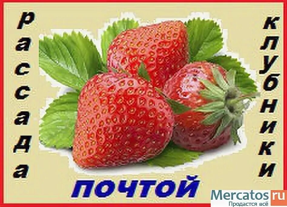 клубника царица. тд комплекс агро барнаул. удобрения киров. стимулятор роста растений вл 77. (агро) кабинета.