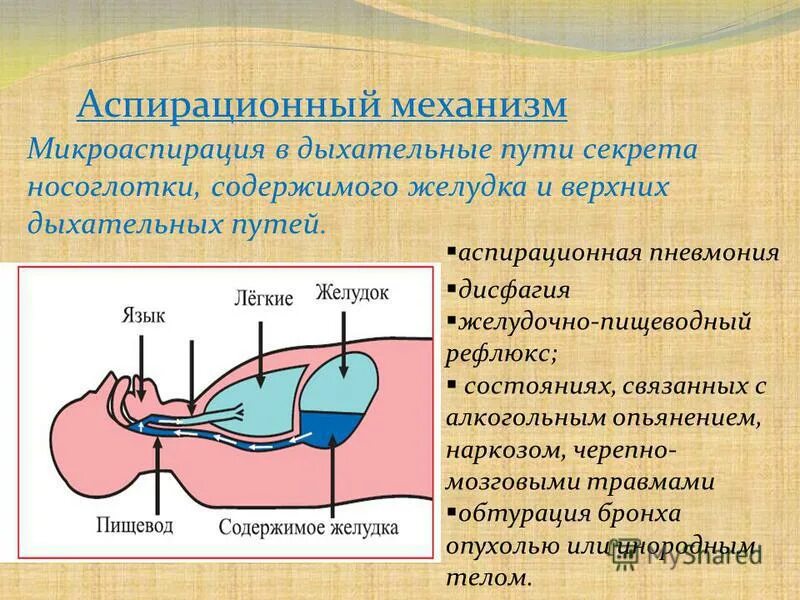 механизм передачи возбудителя зависит от тест. аспирационный механизм передачи. сапронозы инфекции примеры. аспирационный механизм передачи инфекции реализуется. аспирационный механизм передачи.