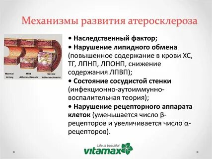 Атеросклероз биохимия