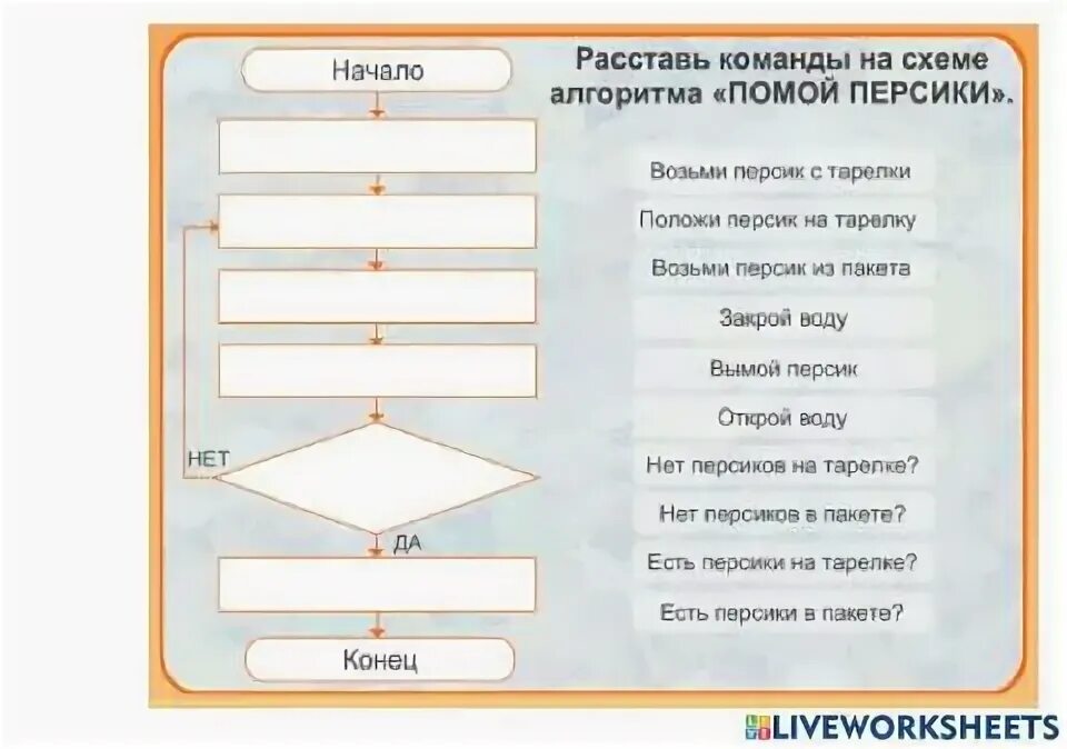 Информатика алгоритмы решение. Линейный алгоритм 4 класс информатика задания. блок-схема алгоритма информатика 5 класс. задача по информатике 4 класс алгоритм. задачи по алгоритам.