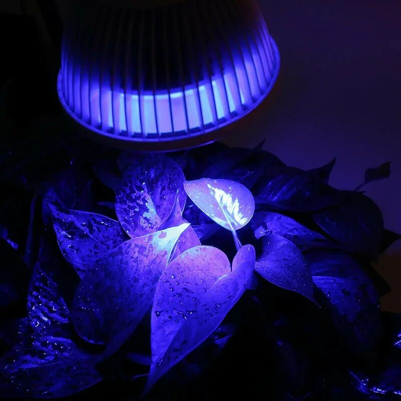 Фитолампа 2 лампы. Лампа led 15w. Фитолампы для растений 220 вольт. Led лампа 18 w. Фитосветильники.