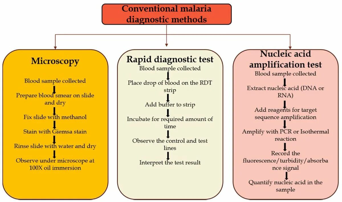 Малярия этиология нмо ответы. Malaria diagnosis. Diagnostic method. Duodenostasis Diagnostic methods. Diagnostic methods Allergy.