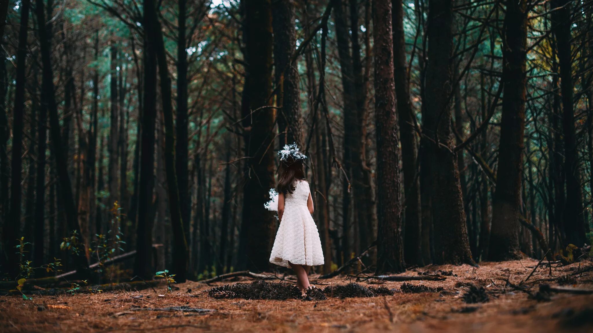 Ребенок потерялся в лесу. Девочка в лесу. Женщина путешествие в лесу. Дети собирают грибы в лесу. Дети и природа.