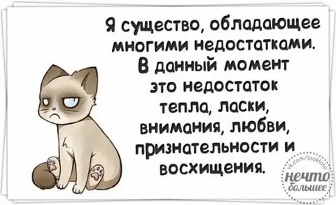 Мне недостает люби
