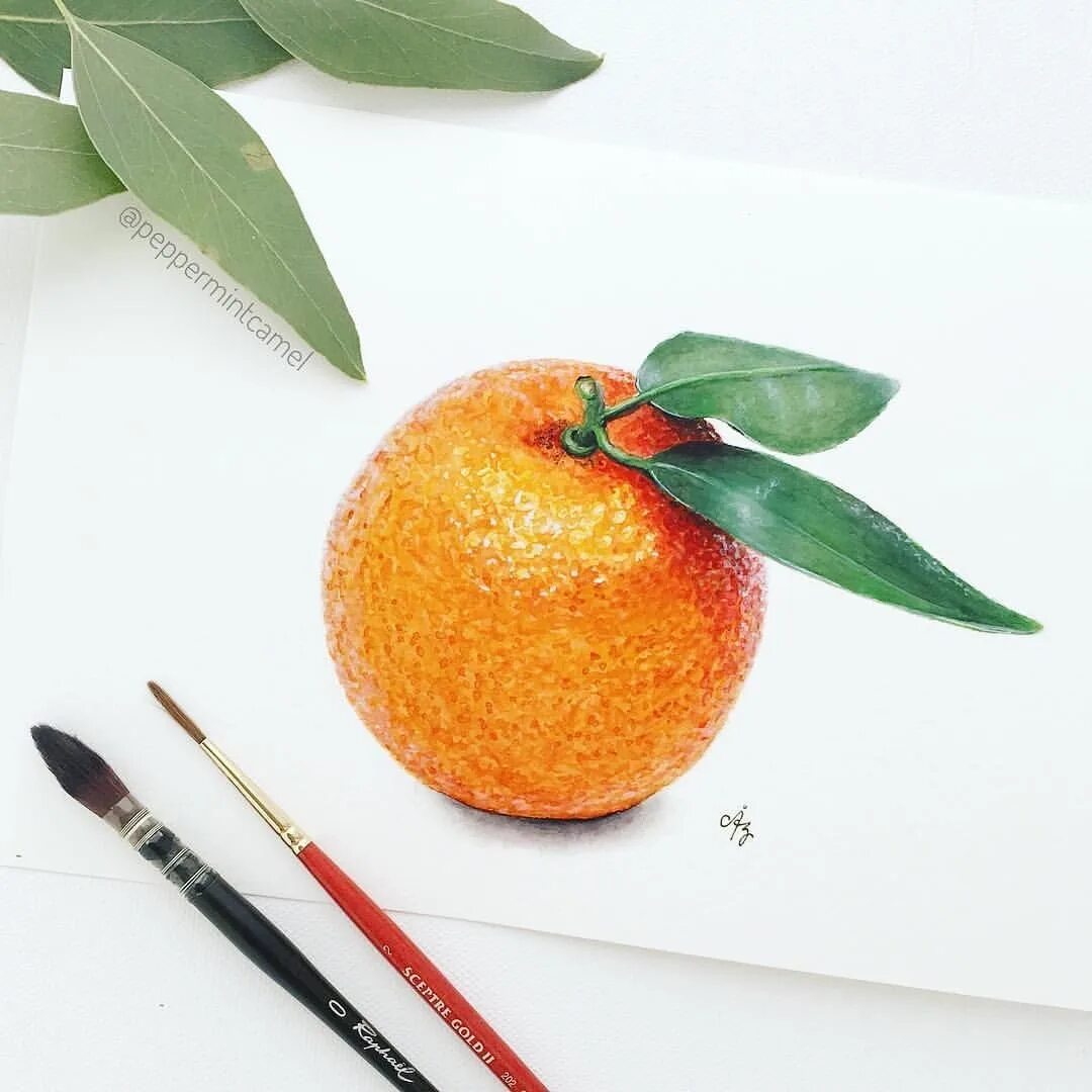 фрукты акварелью. мандарин скетч. долька апельсина скетчинг маркерами. апельсин акварелью. мандарин акварелью.