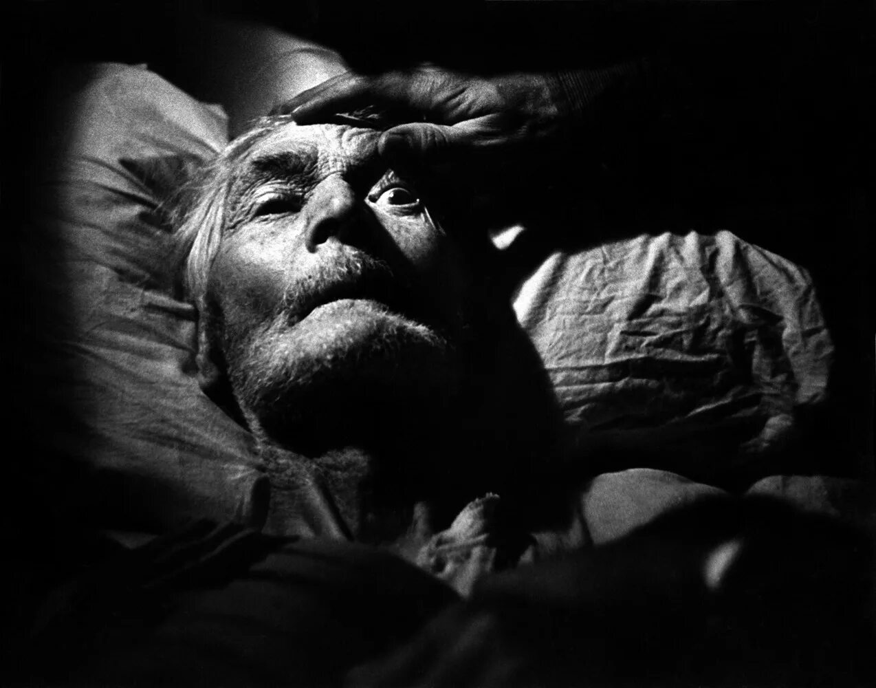 Уильям юджин смит фотографии. Уильям юджин смит фотографии. Военный фотограф юджин смит. Уильям юджин смит фото. Юджин смит питтсбург.