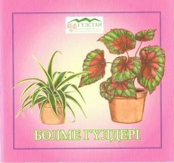 Жыныстық қатынас кезінде оргазм дыбыстары мен айқайларды онлайн көріңіз