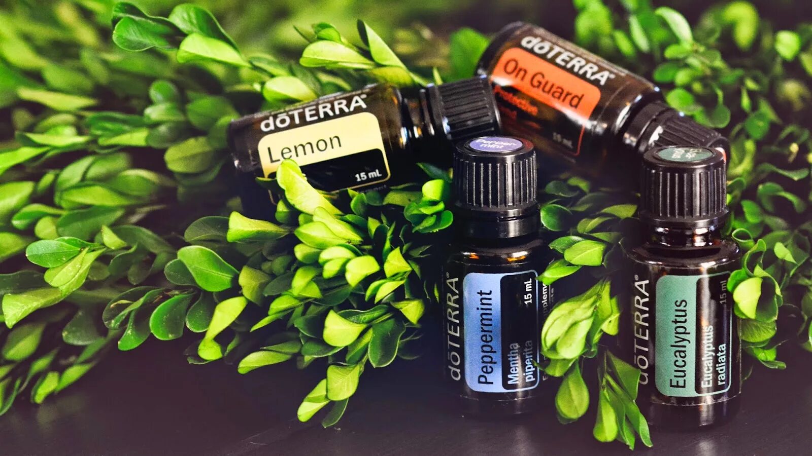 Эфирные масла ДОТЕРРА. Туя ДОТЕРРА. Туя DOTERRA эфирное. DOTERRA эфирное масло Cypress. Мандарин дотерра