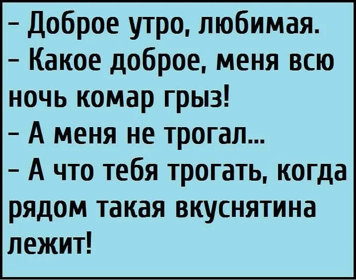 Шутки для любимой. Анекдот. Анекдоты приколы. Анекдоты с добрым утром. Анекдоты для поднятия настроения.