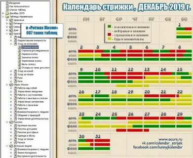 календарь стрижек на декабрь и окрашивания волос