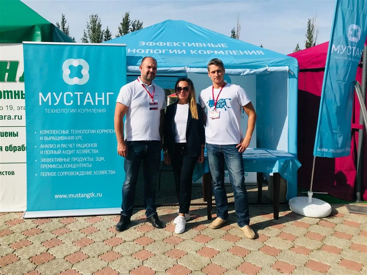 Мустанг ступино логотип. Мустанг технологии кормления. Мустанг технология. Ооо мустанг ступино. Мустанг технологии кормления лого.