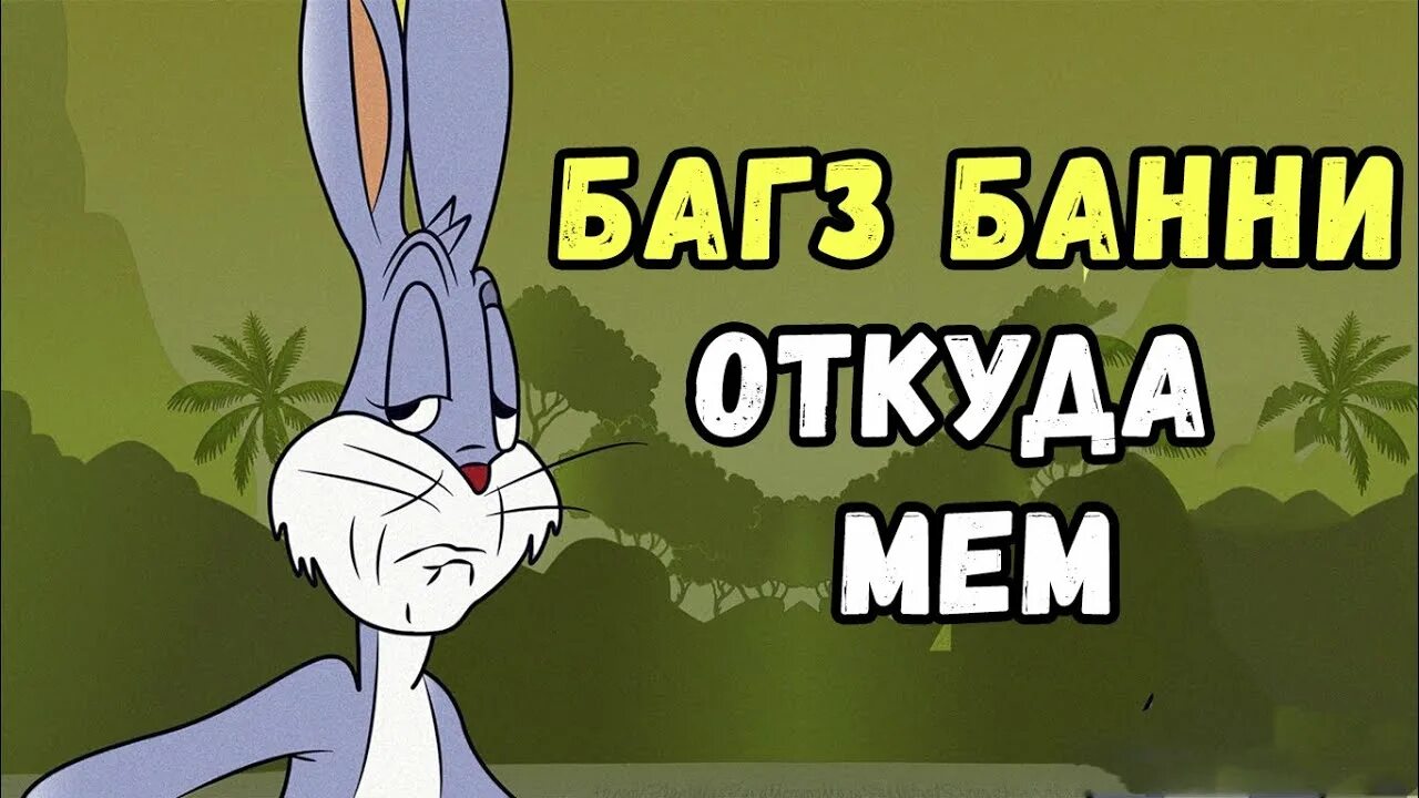 ОРУЩИЙ КРОЛИК НА TIKTOK/ВИДЕОПРИКОЛ/СМЕХ И РЖАКА/ТИКТОК - YouTube