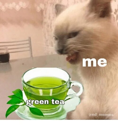 Песни пей чай зеленый. Зеленый чай Мем. Чай Мем. Мемы про зеленый чай. Мемы про чай.
