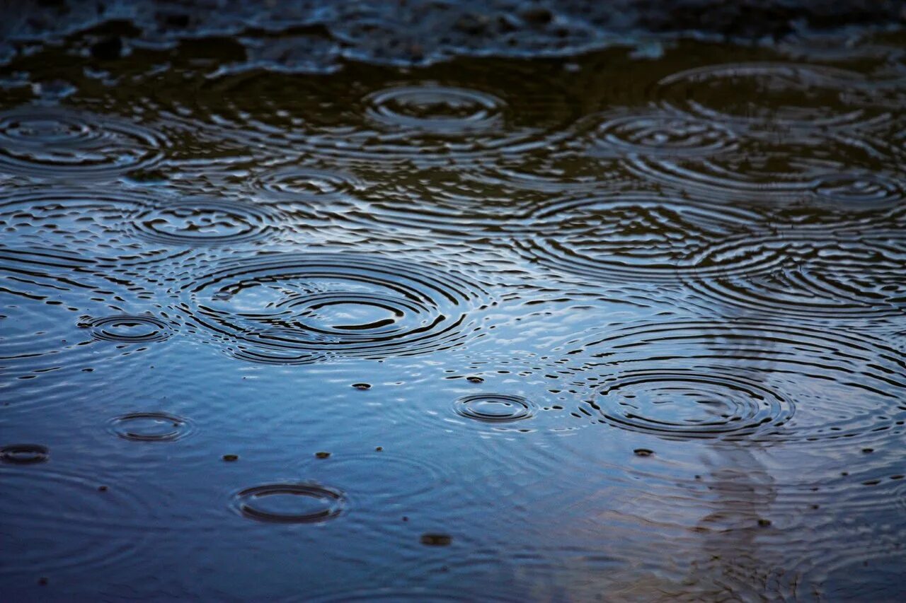 Круги на воде. Разлитая вода. Дождевая вода. Капли воды. Следы дождя на мокрых