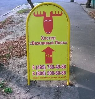 Вежливый лось