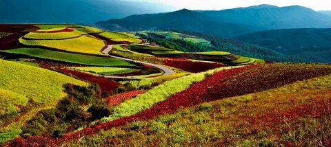 West china