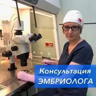 Эко консультация