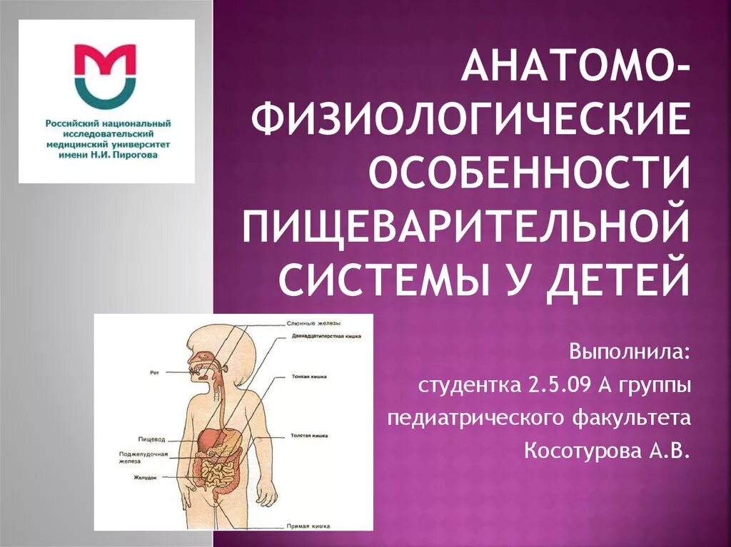 Анатомо физиологические особенности жкт. Анатомо физиологические особенности жкт