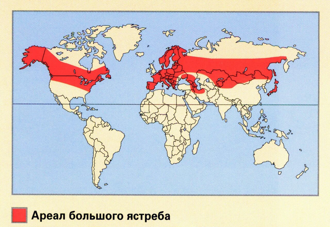 Почему ареалы обитания грифов связаны с горами. Сокол сапсан ареал обитания. ястреб ареал обитания. ареал сокола сапсана.