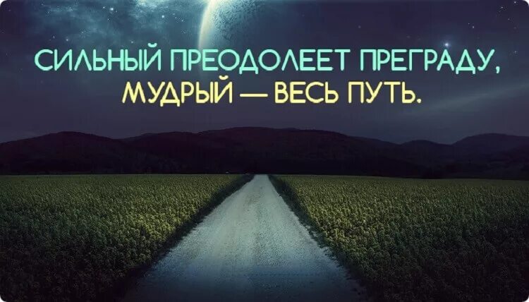 Мудрость пути. Китайские пословицы. сильный преодолеет преграду мудрый весь путь. цитаты про преграды на пути. китайские пословицы и поговорки.