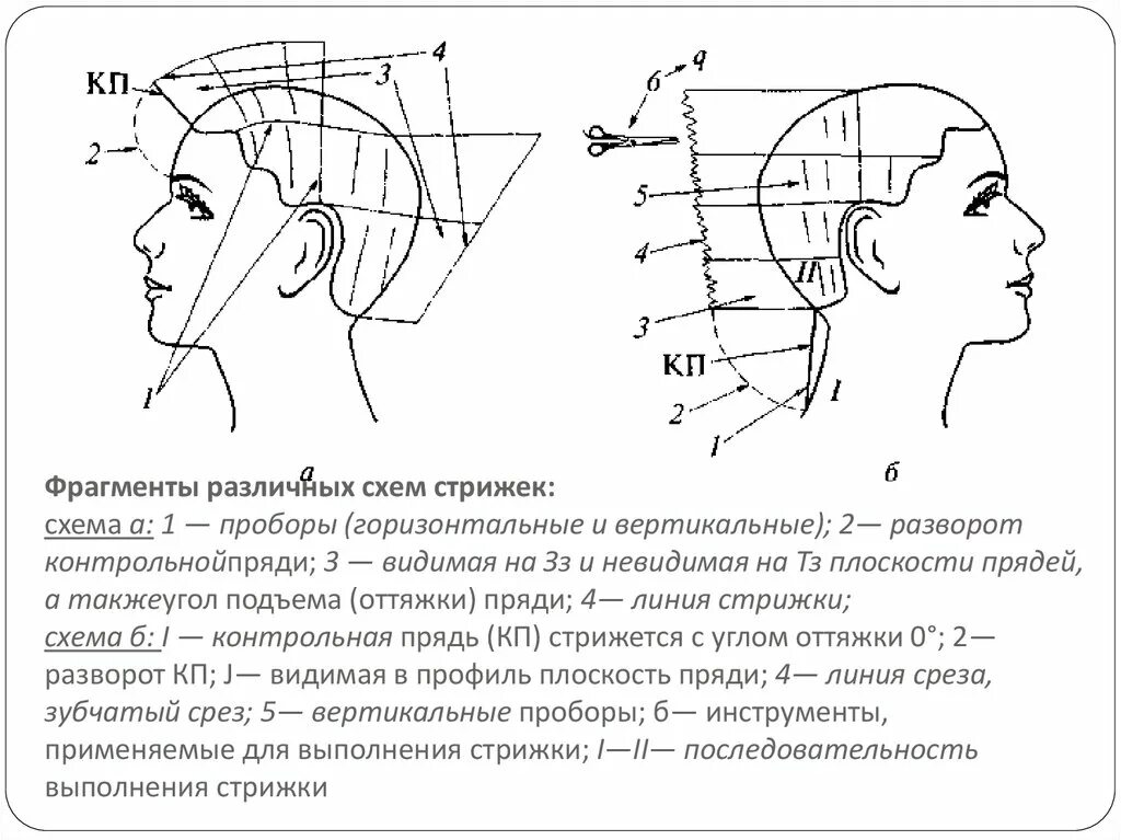 Затылок схема. ФРАГМЕНТЫ различных схем стрижек. Основные схемы стрижек. Методика проекции стрижка. Горизонтальный пробор схема.