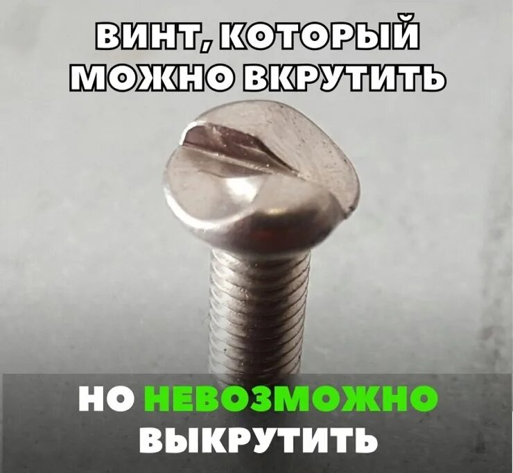 Zipbolt стяжка столярная. Саморезы крутятся в гипсокартон. Что их можно вкрутить работающих. Что их можно вкрутить работающих. Вкрутить шуруп в пластиковую раму.