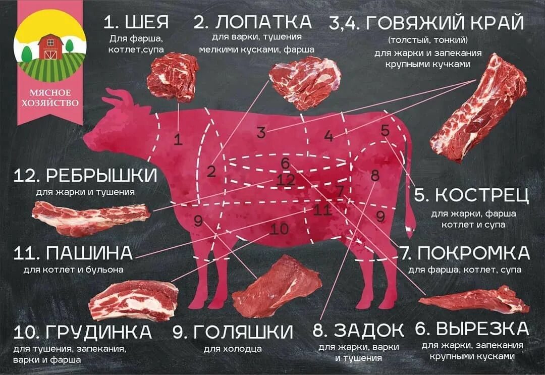 Сколько костей в свинине. Части говядины. Разделка говядины. Части коровы. Части туши говядины схема.