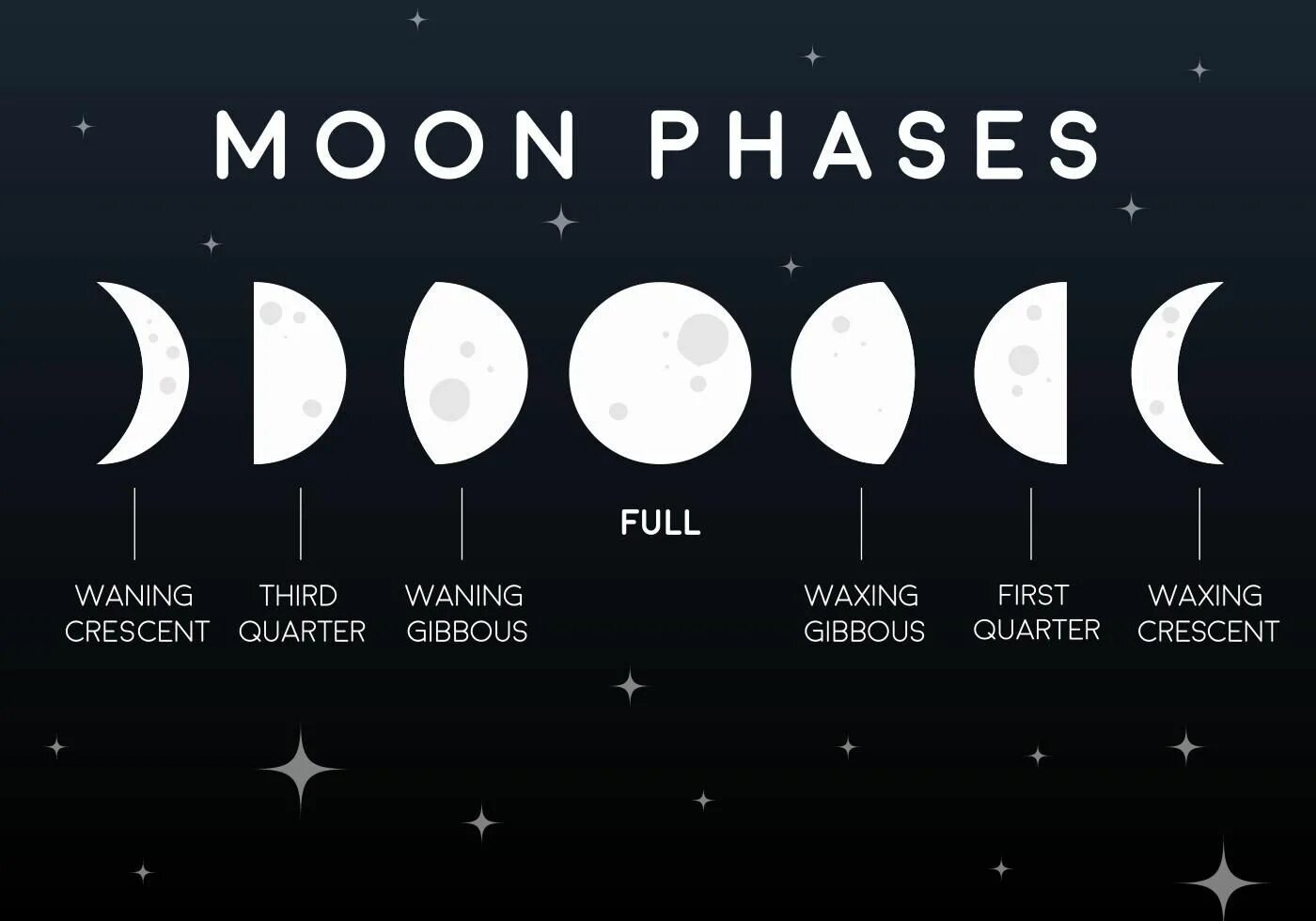 Фазы Луны phases of the Moon. Полный цикл лунных фаз. Лунные фазы вектор. Фазы Луны картинки. Виды мун