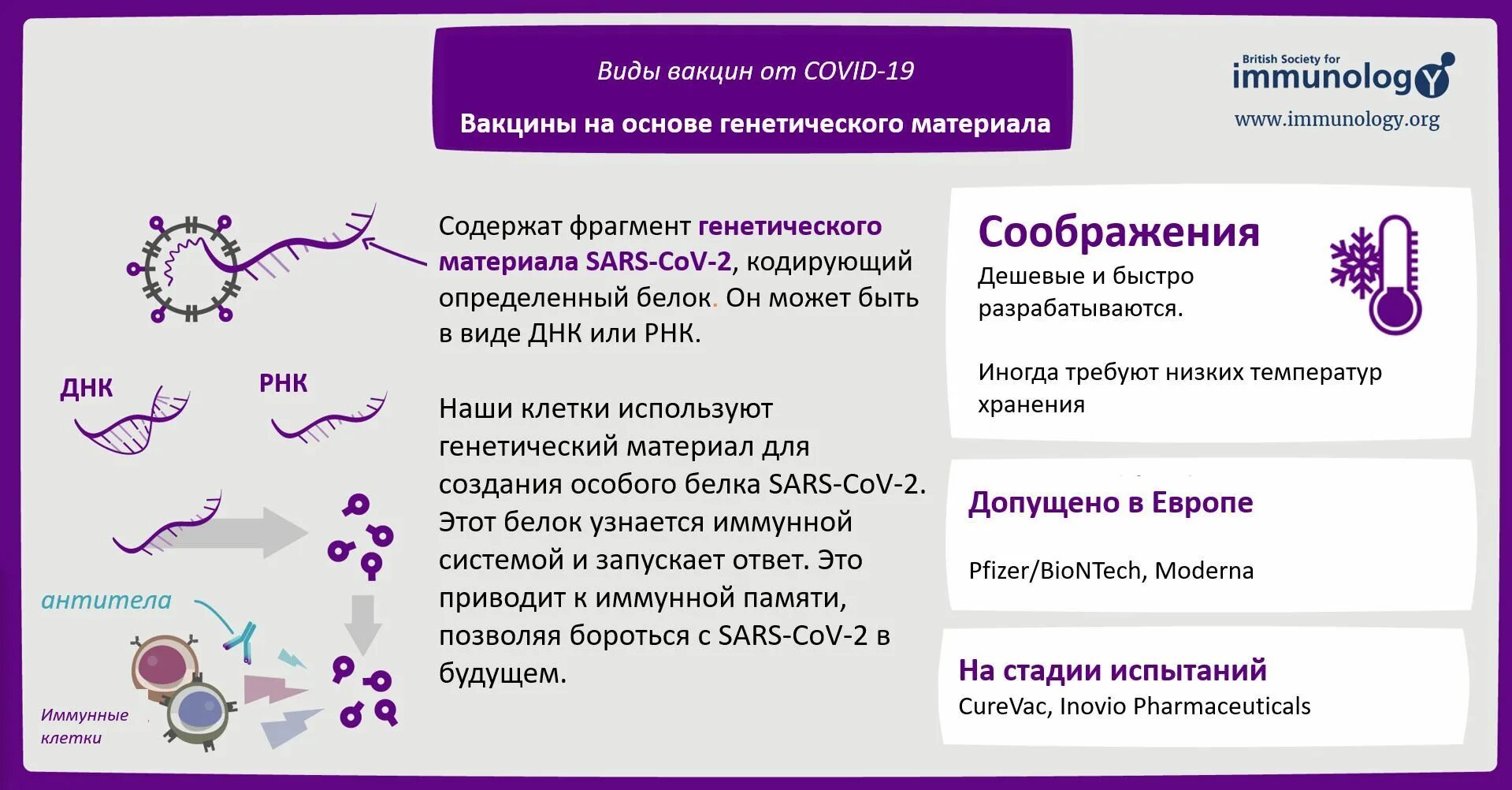 Типы вакцин. Вакцины виды вакцин. Виды вакцин микробиология. Типы прививок в биологии. Типы вакцин коронавируса