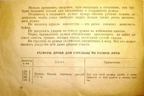 Сочинение не стреляй