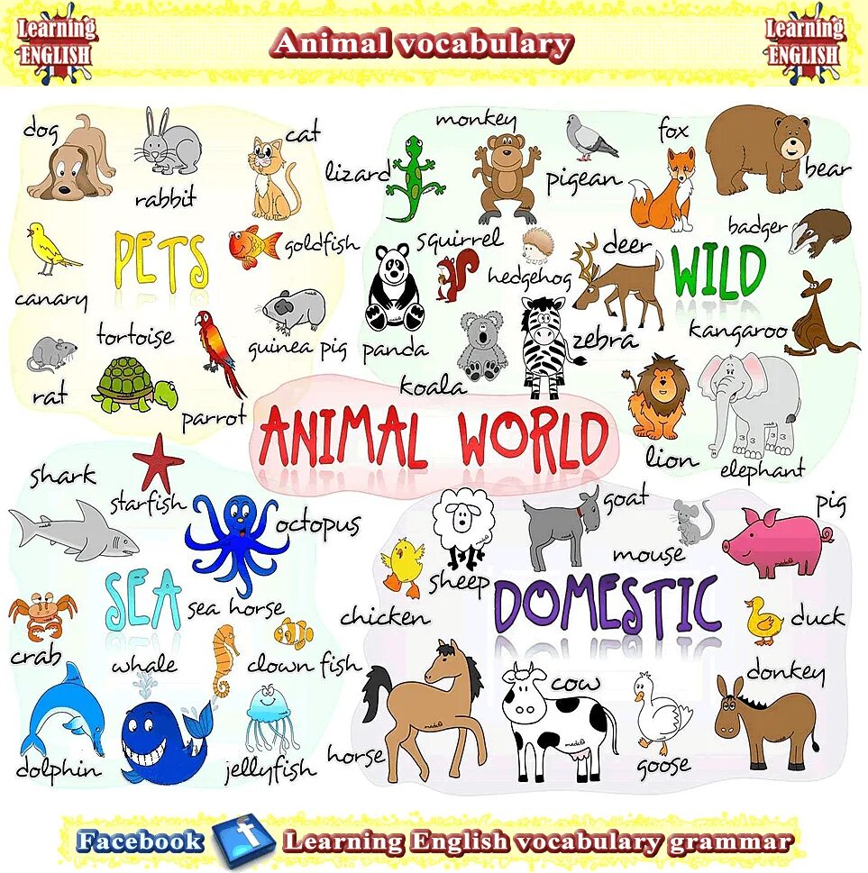 Английский язык wild animals